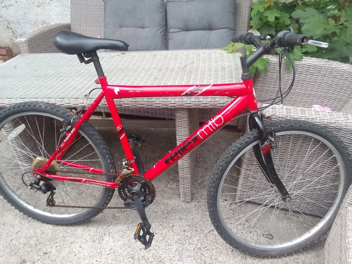 adult bike for sale