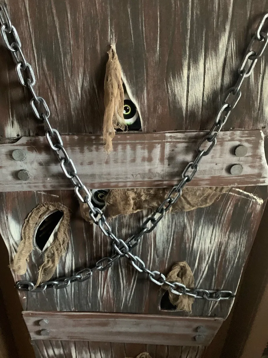halloween coffins - Image 2