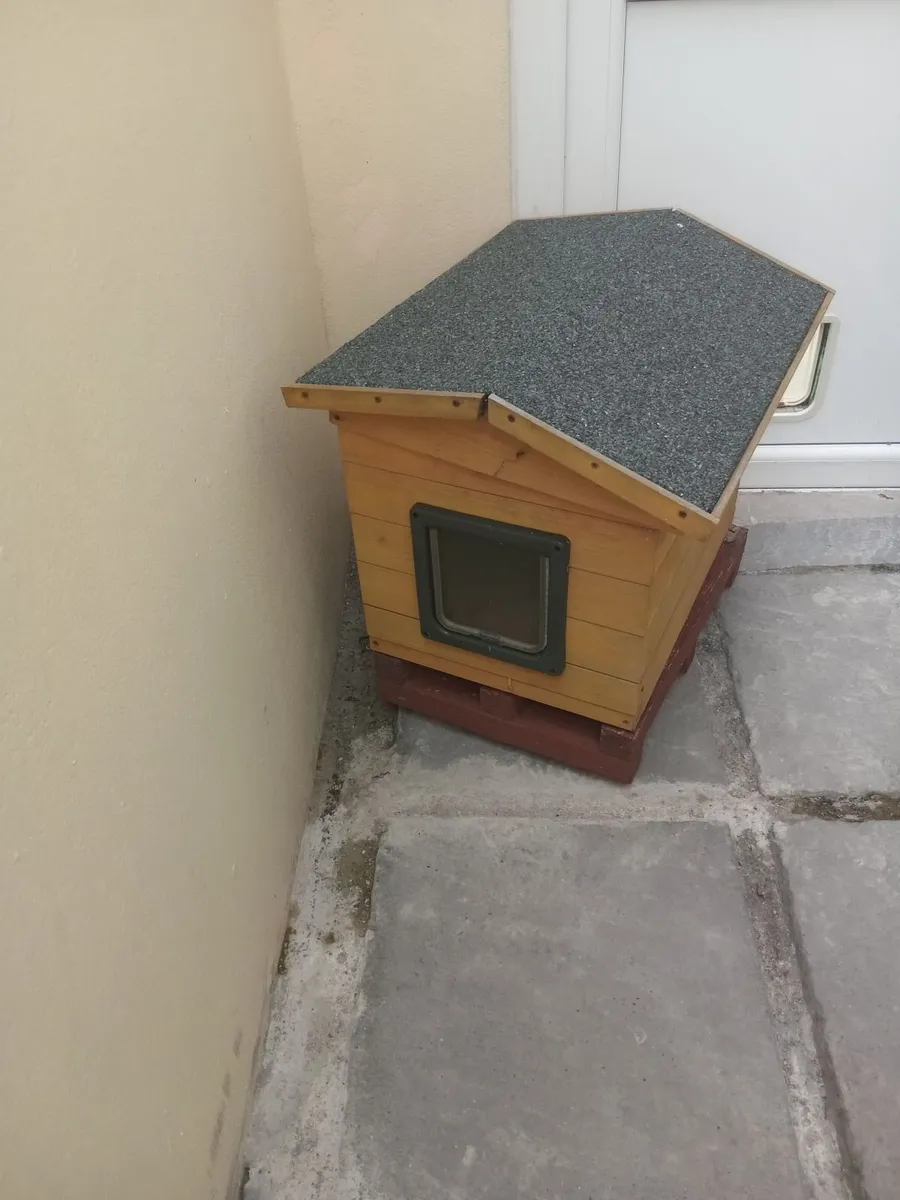 CAT HOUSE - Image 1