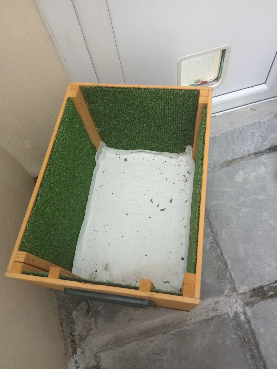 CAT HOUSE - Image 3