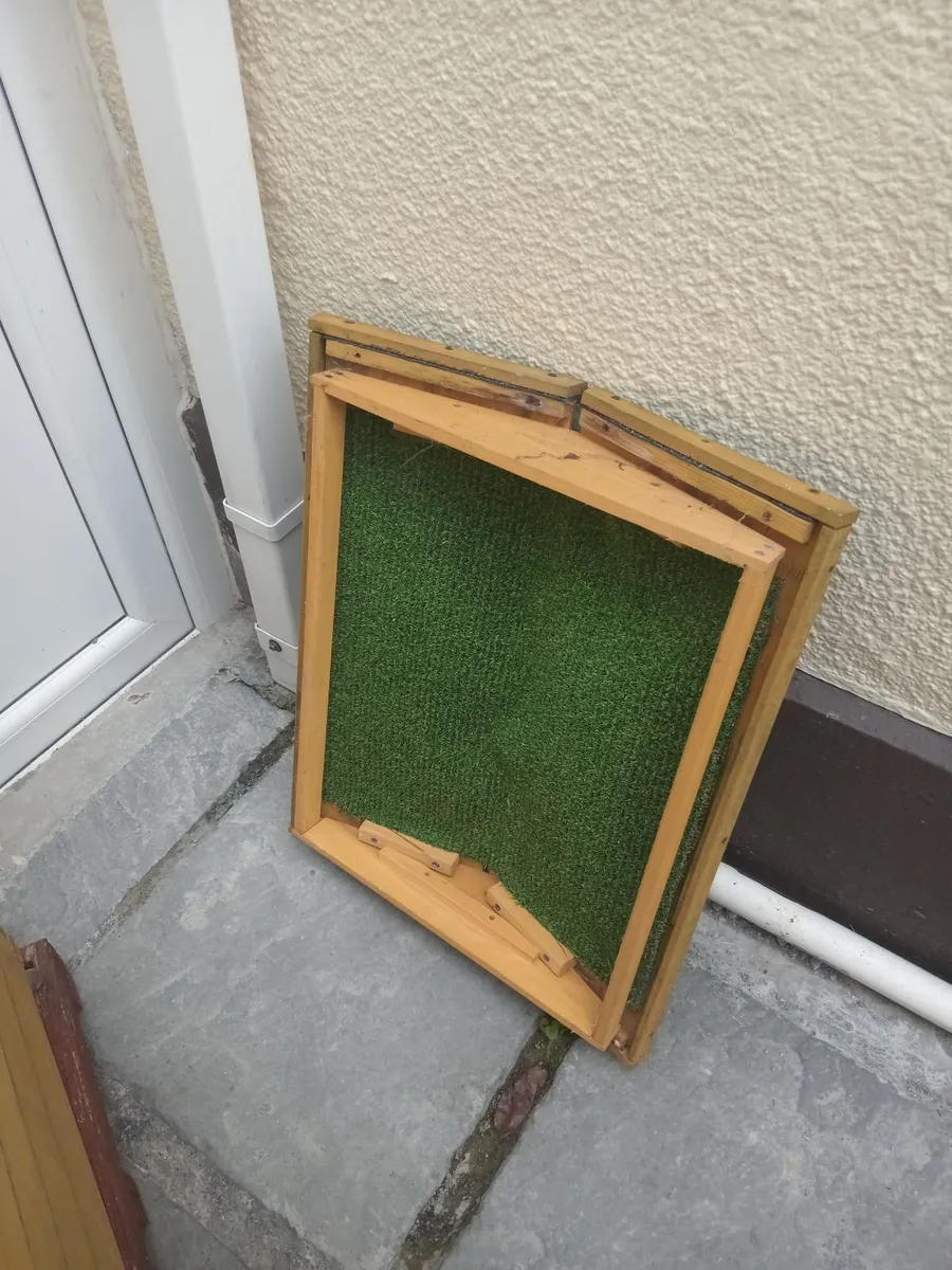 CAT HOUSE - Image 4