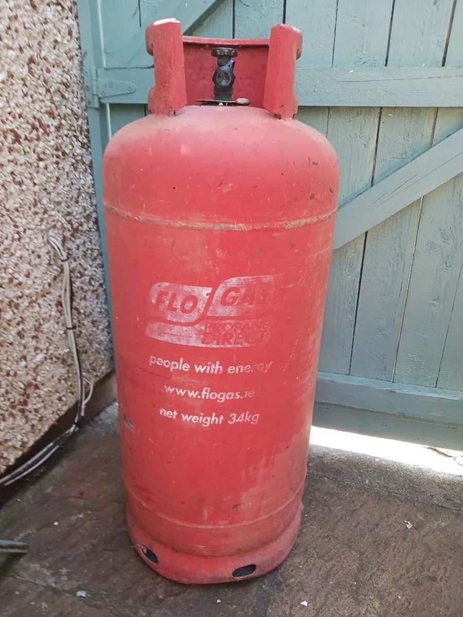 Propane gas cylinder - Image 1