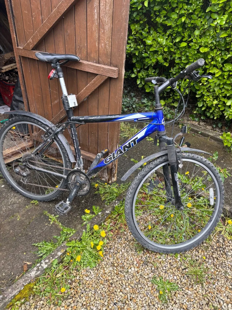 Giant bike for men - Image 1