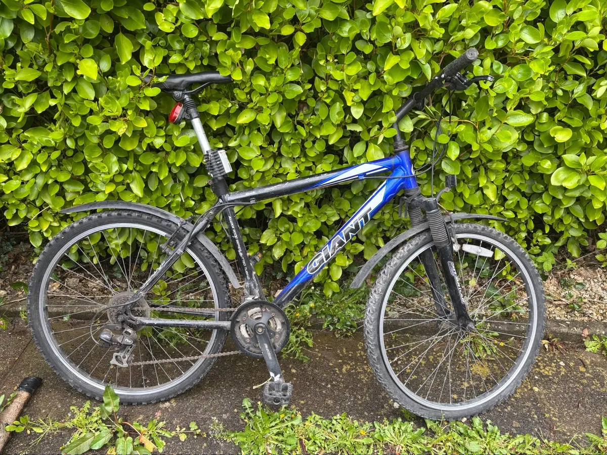 Giant bike for men - Image 2