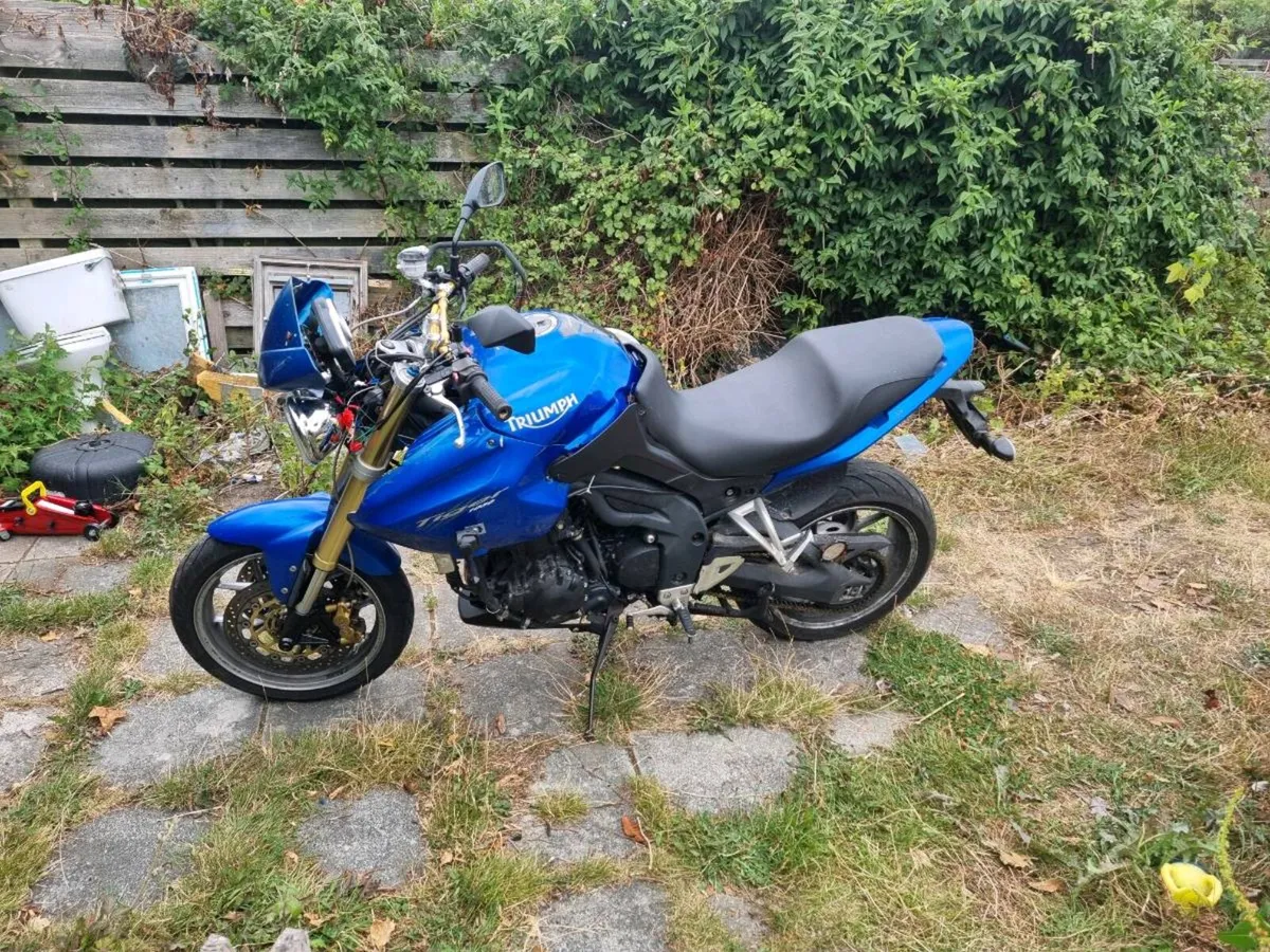 Triumph Tiger 1050 2007 - Image 1