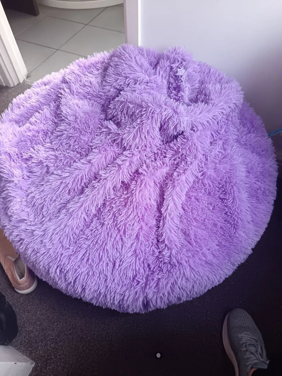 Beanbag - Image 1
