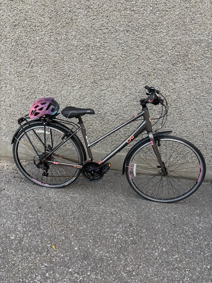 Adult Bike - Image 1