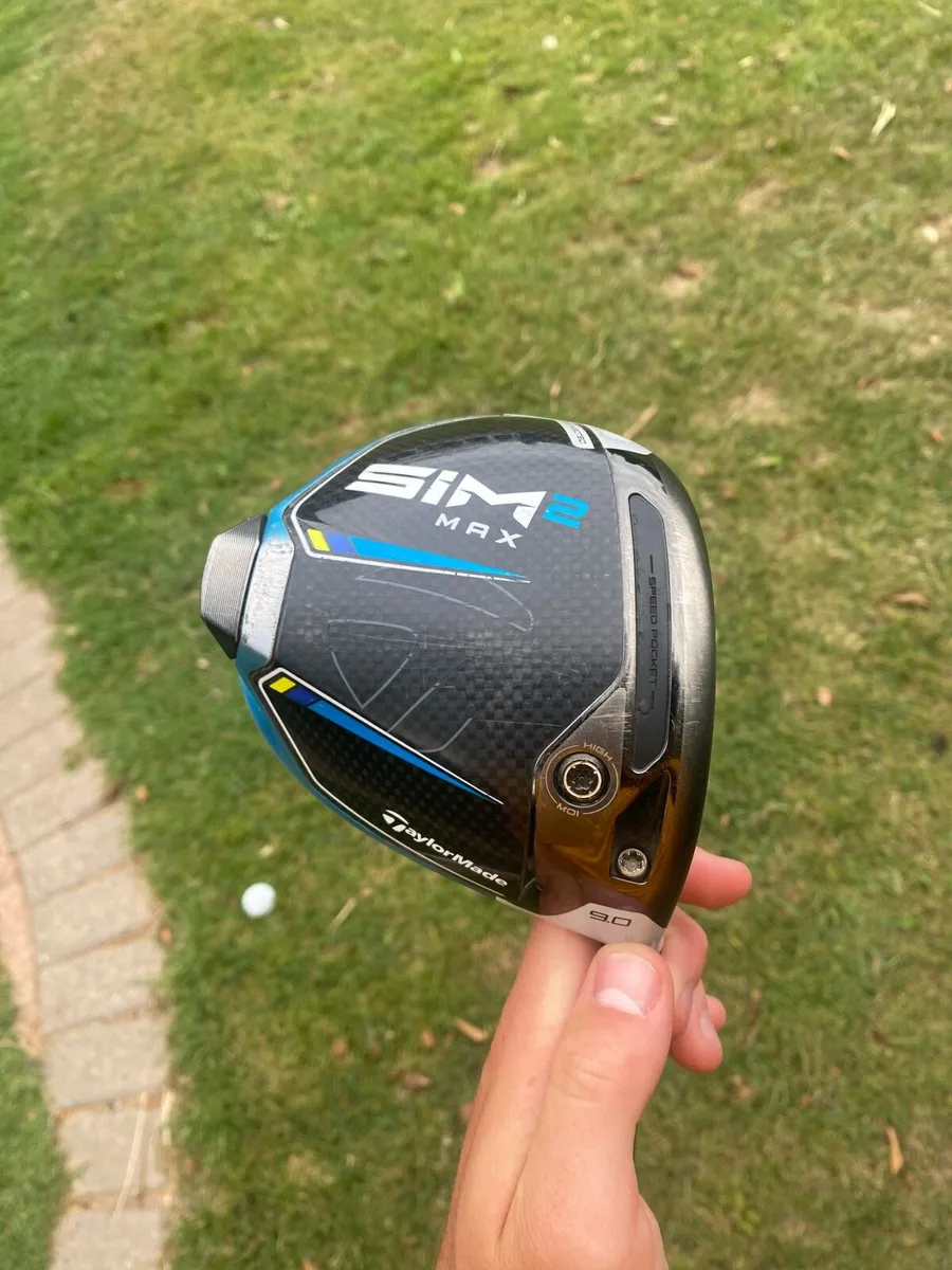 Sim 2 max driver - Image 2