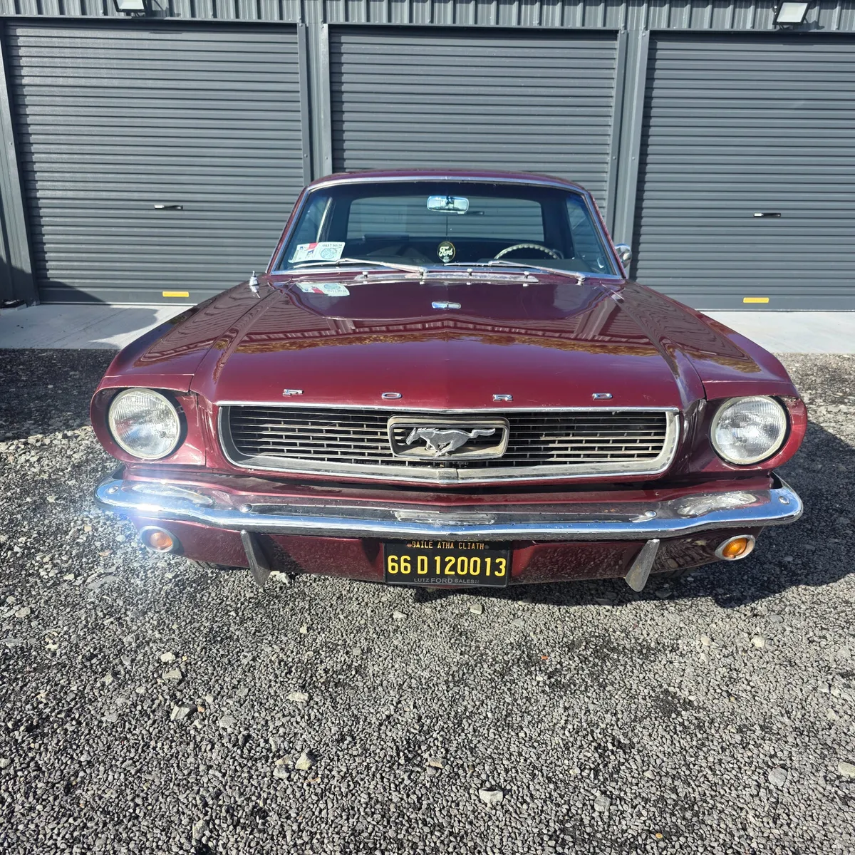 Ford Mustang 1966 Automatic - Image 3