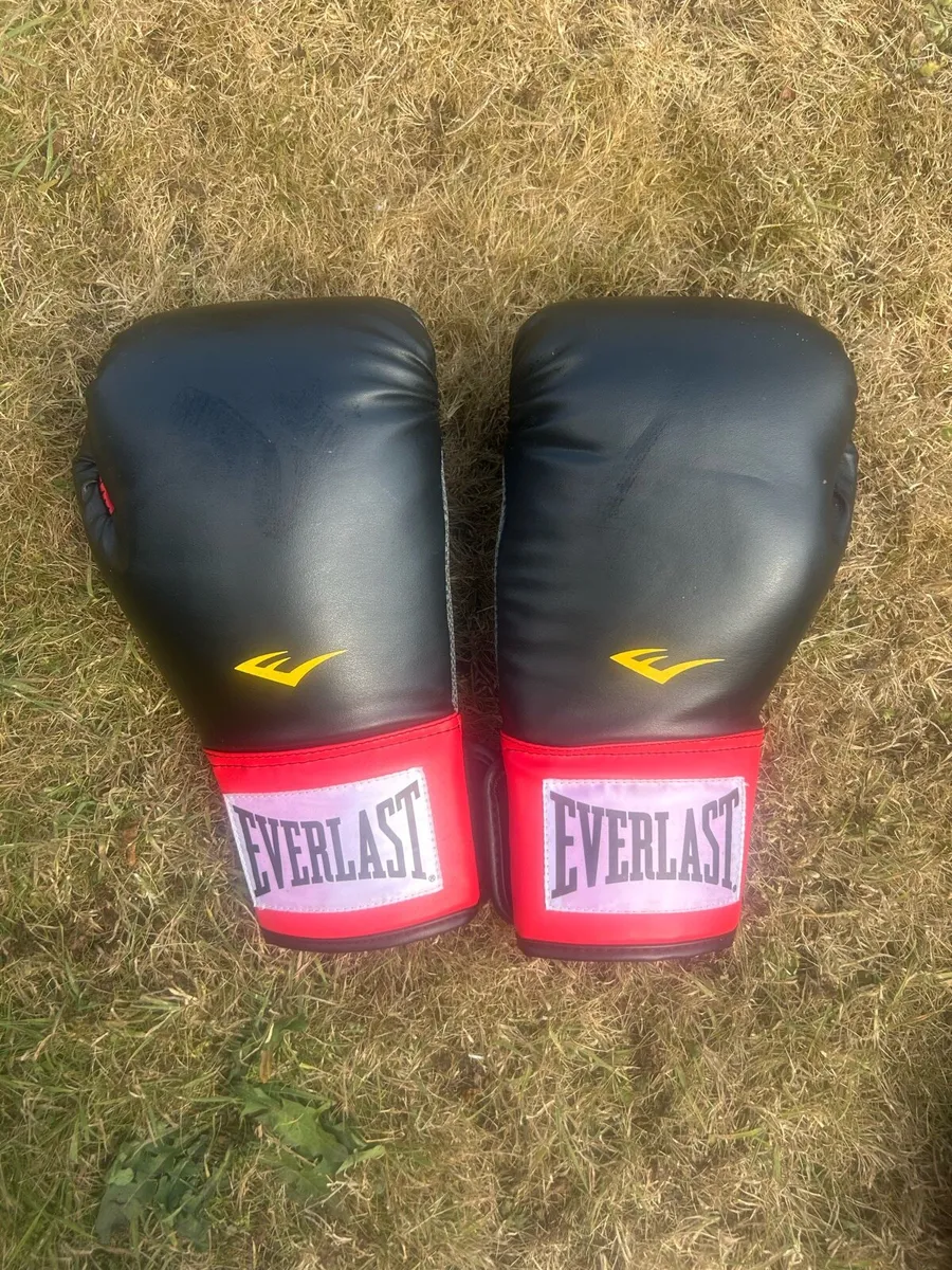Everlast Boxing Set – Unused - Image 3