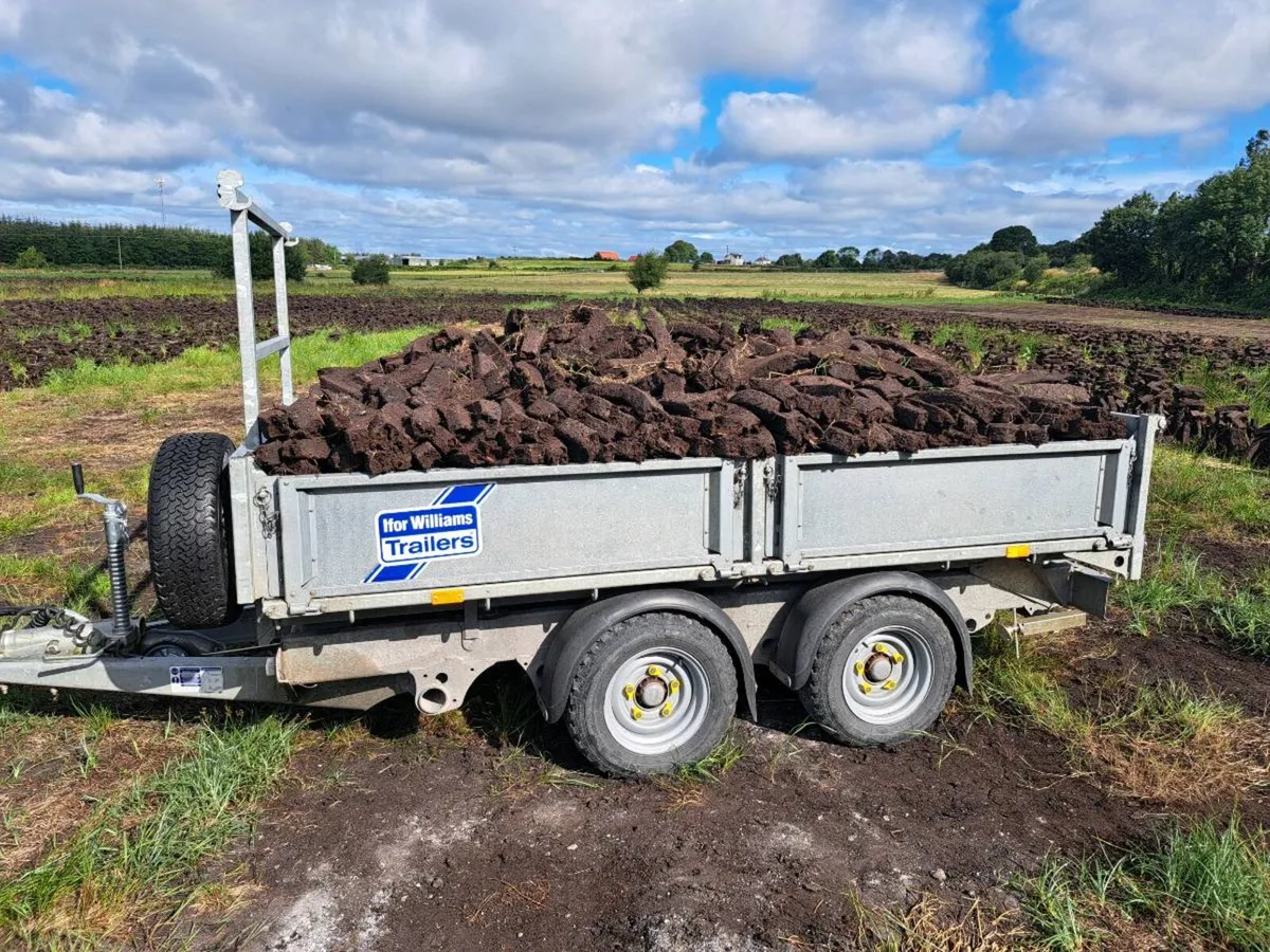 Ifor Williams Tipper Trailer 3.5 ton gross - Image 2