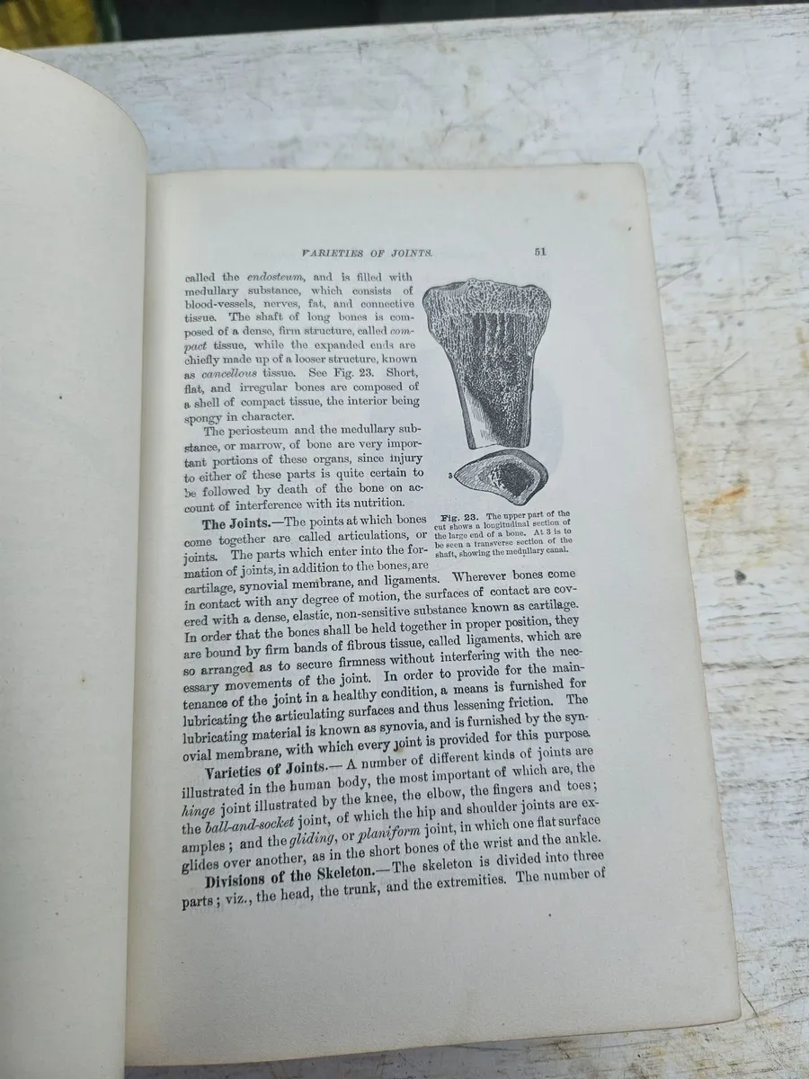 Vintage Kellog Home Handbook of Hygiene and Medici - Image 3