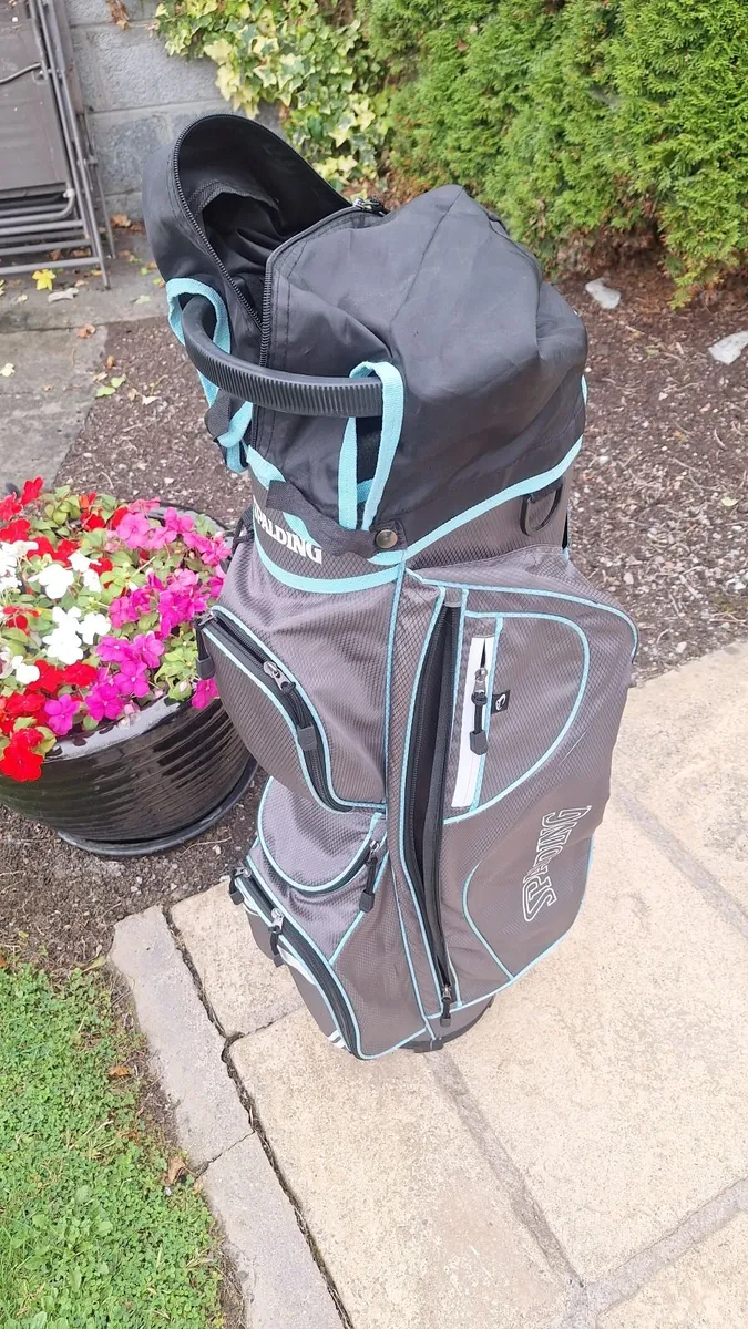 Golf bag - Image 1