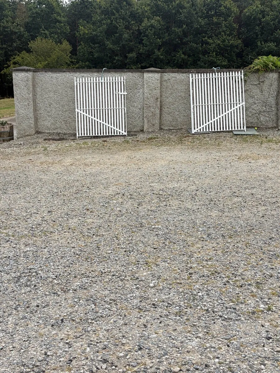 Antique gates. - Image 1