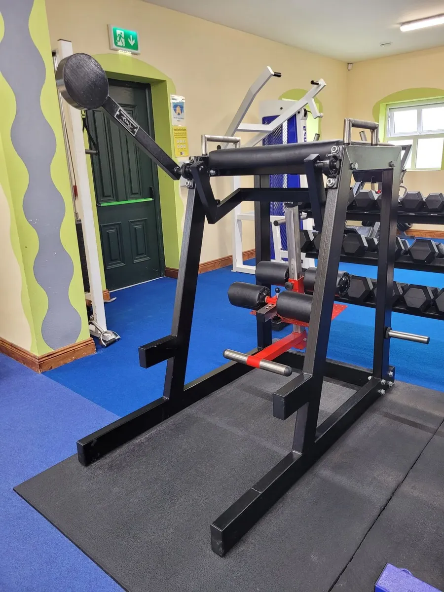 Reverse hyperextension - Image 1