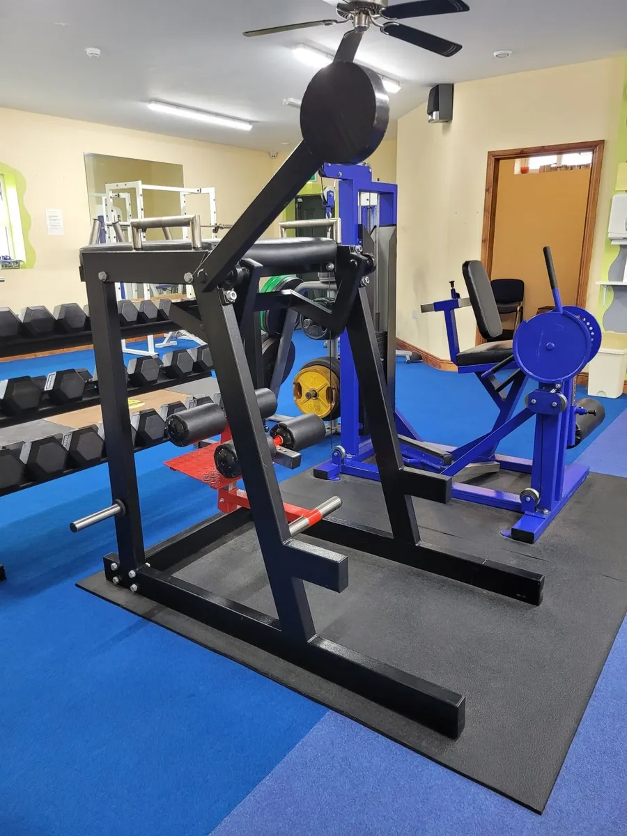 Reverse hyperextension - Image 2