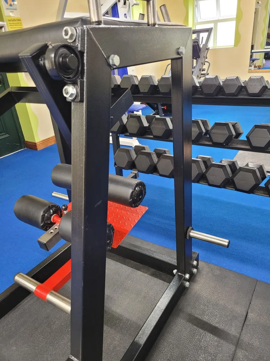 Reverse hyperextension - Image 4