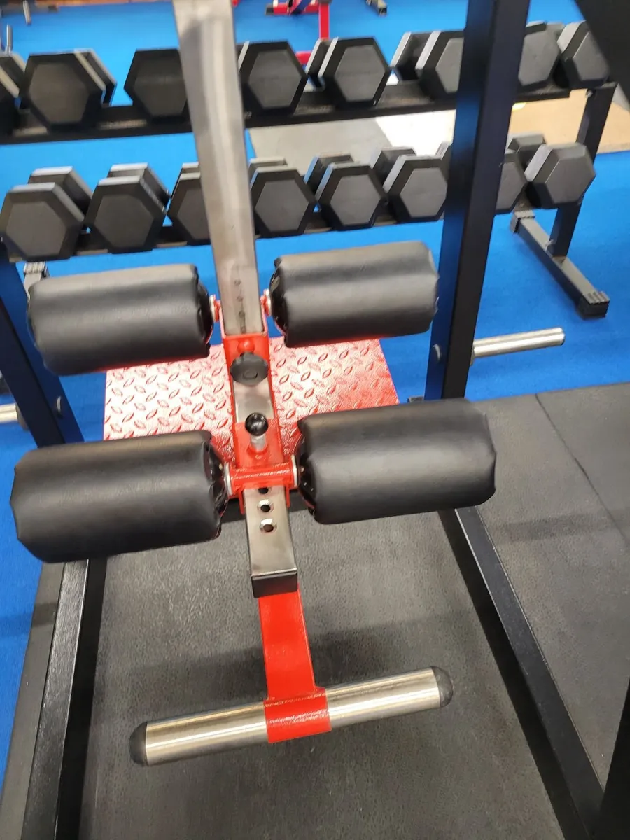 Reverse hyperextension - Image 3