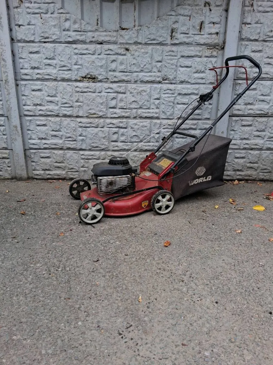 Briggs and stratton - Image 1