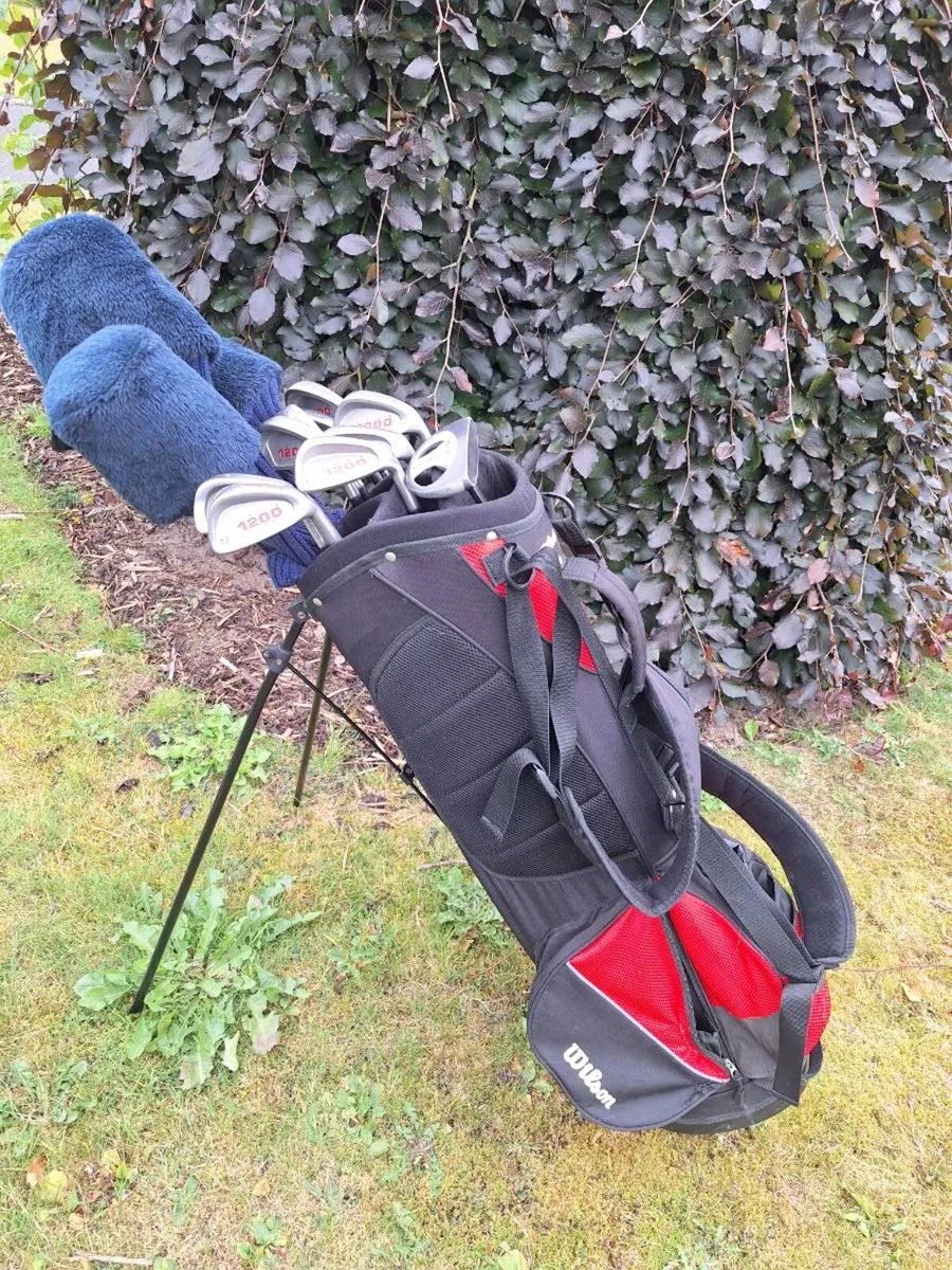 Golf clubs, full set and bag. - Image 1