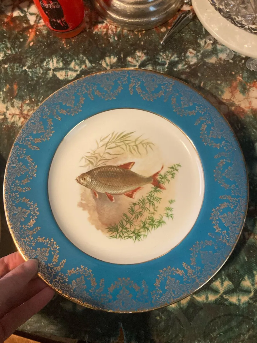 Vintage fish dinner plates free postage - Image 4