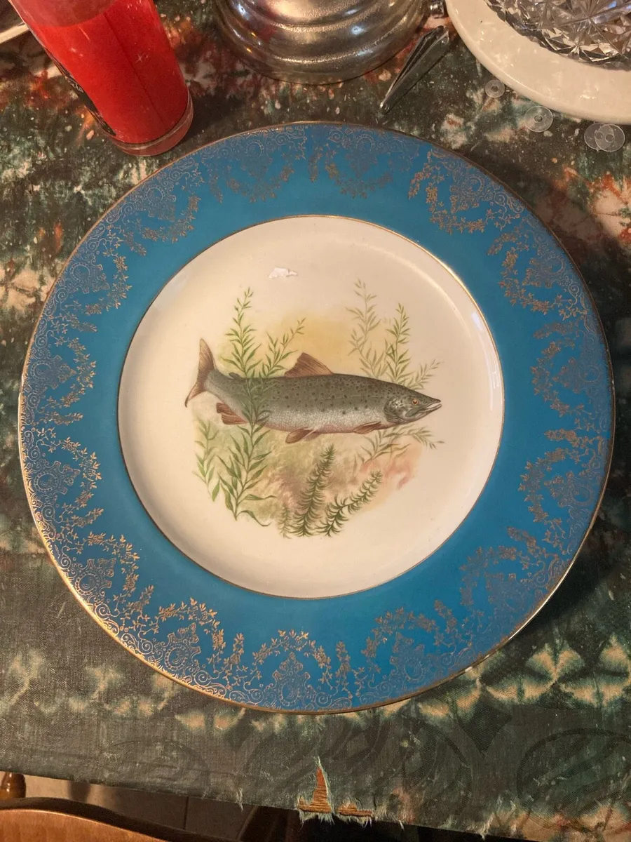 Vintage fish dinner plates free postage - Image 1