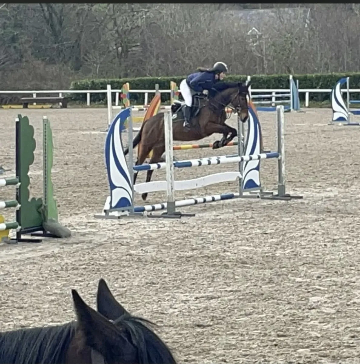 Pony - Image 1