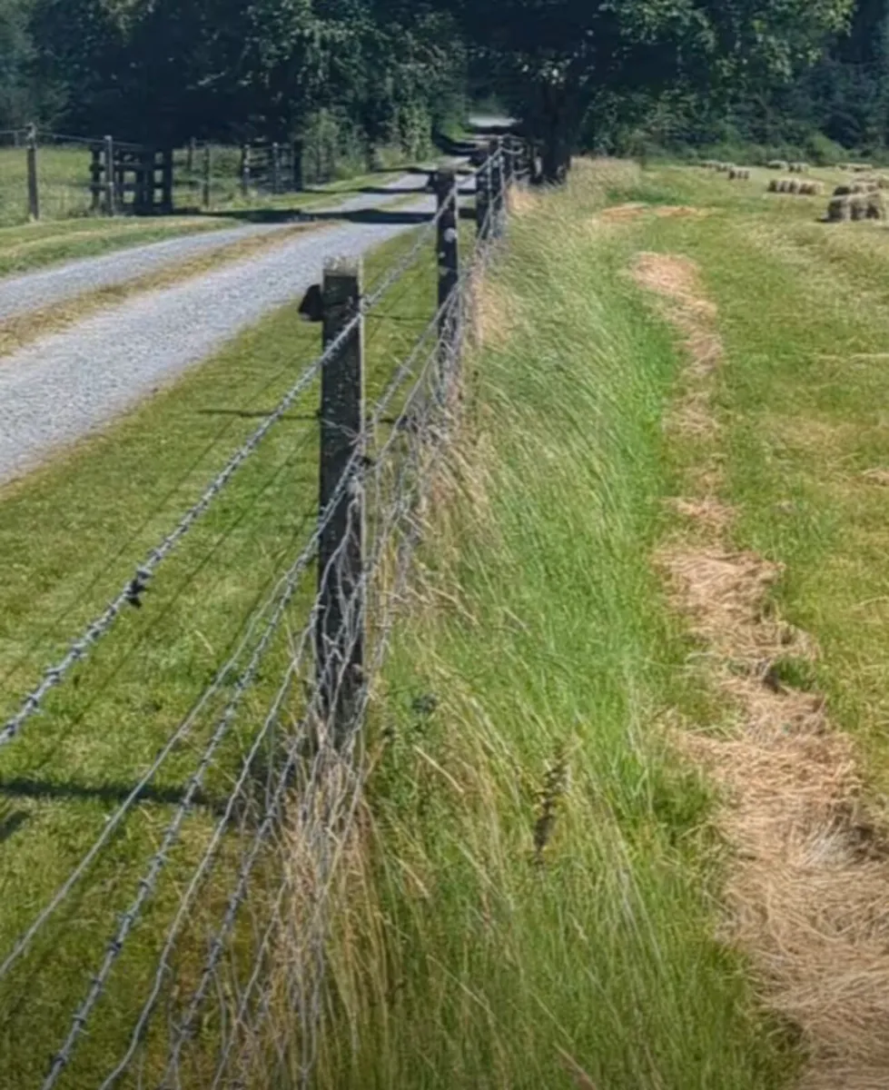WANTED – Old Concrete Chain-Link Fence Posts - Image 1