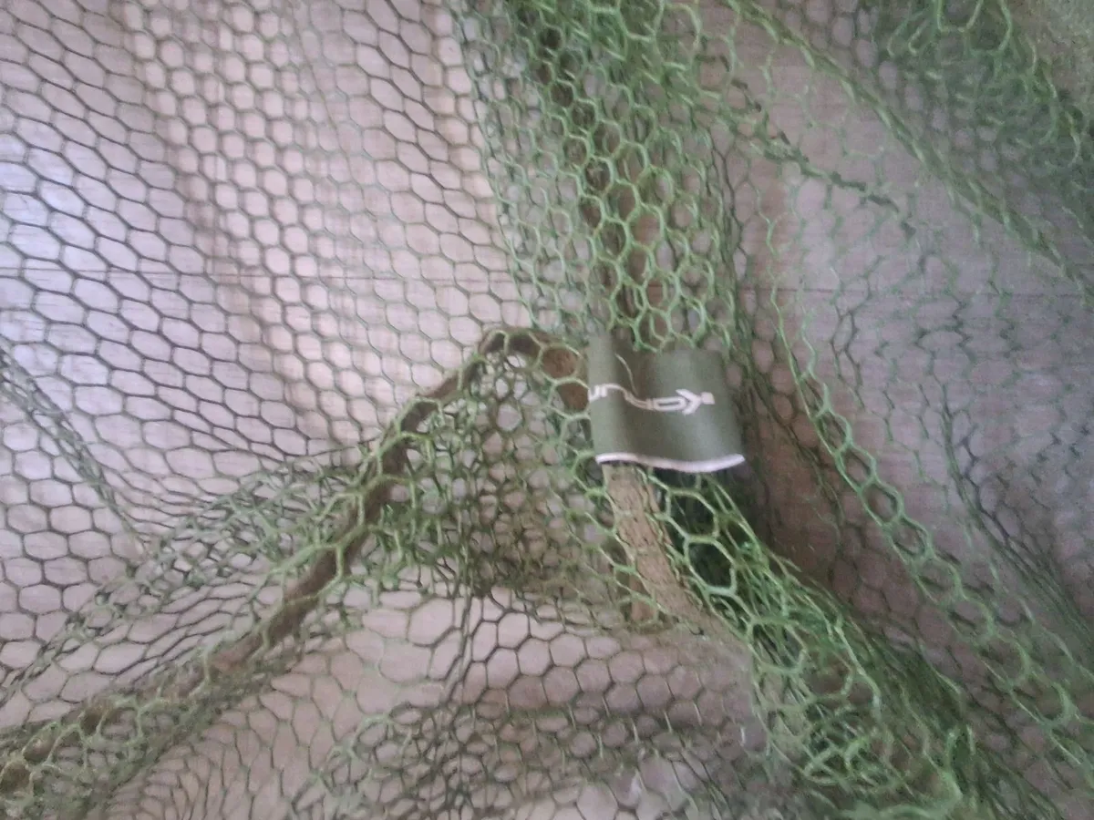 Fishing - Image 3