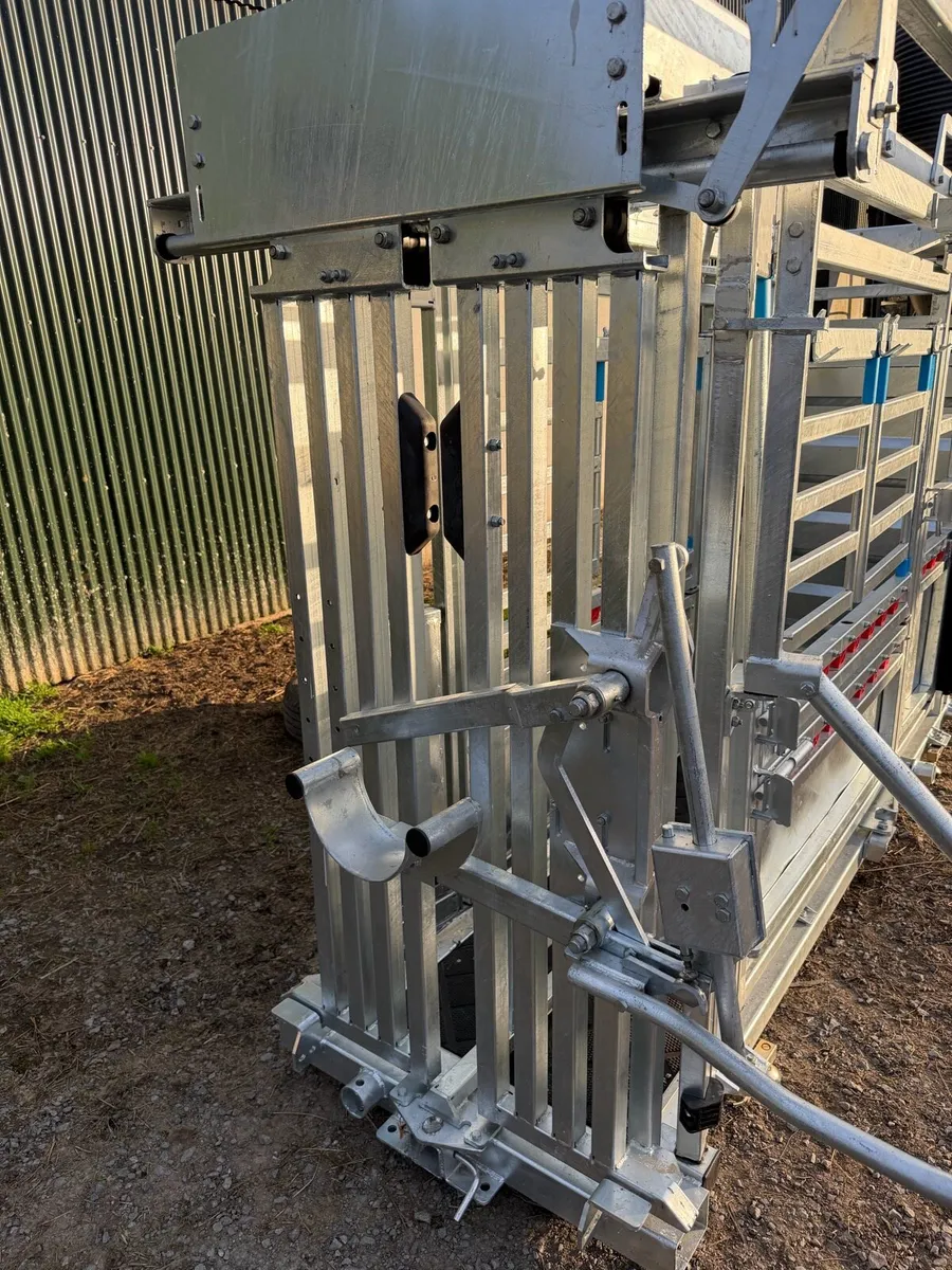 New cattle squeeze crush - Image 4