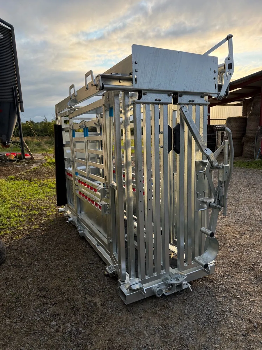 New cattle squeeze crush - Image 2