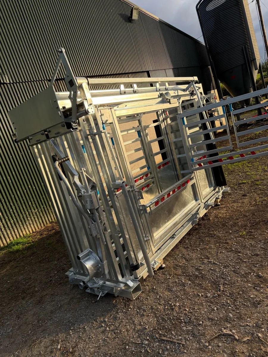 New cattle squeeze crush - Image 3