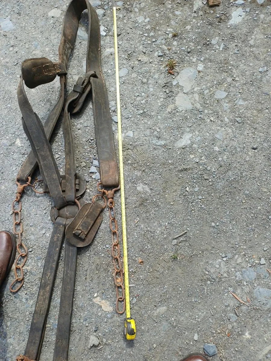Working Harness Chain Set - Image 1