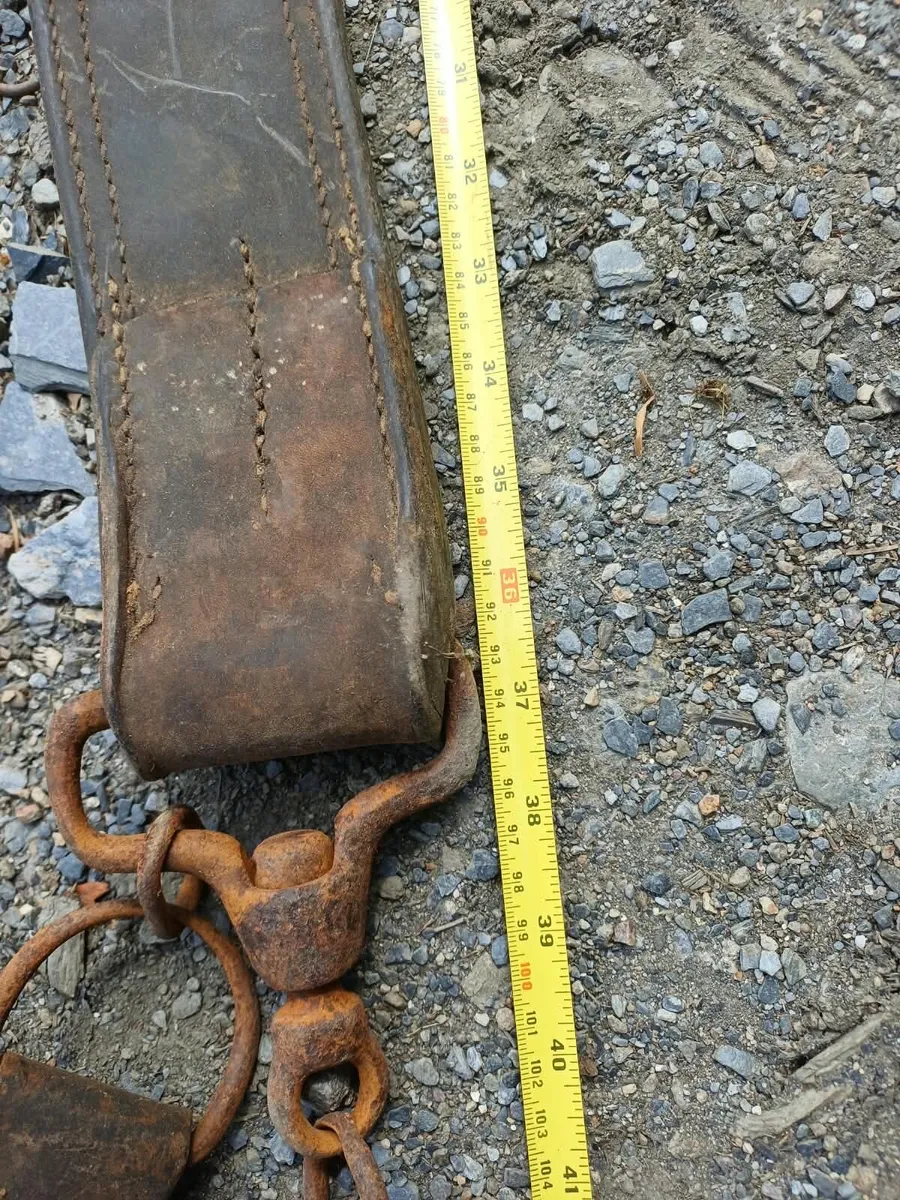Working Harness Chain Set - Image 2