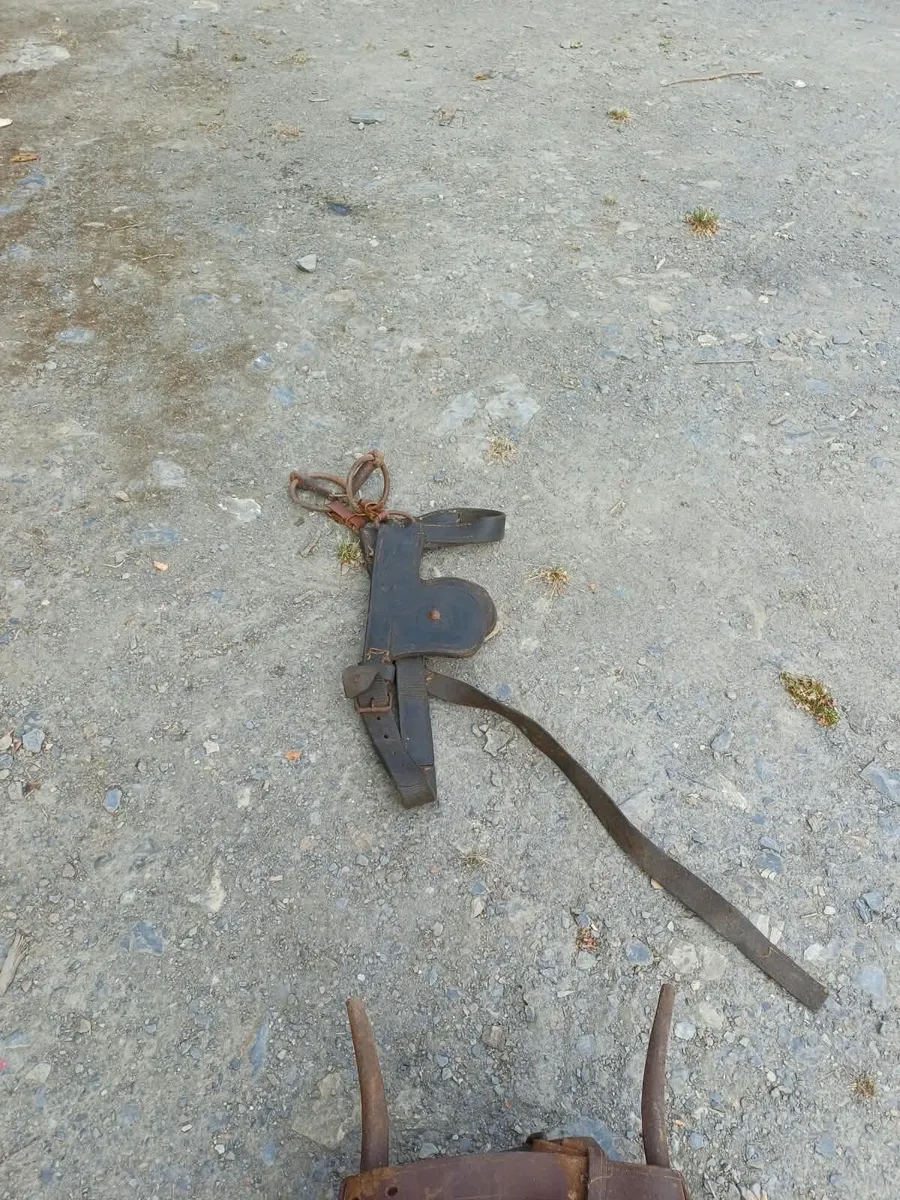 Working Harness Chain Set - Image 3