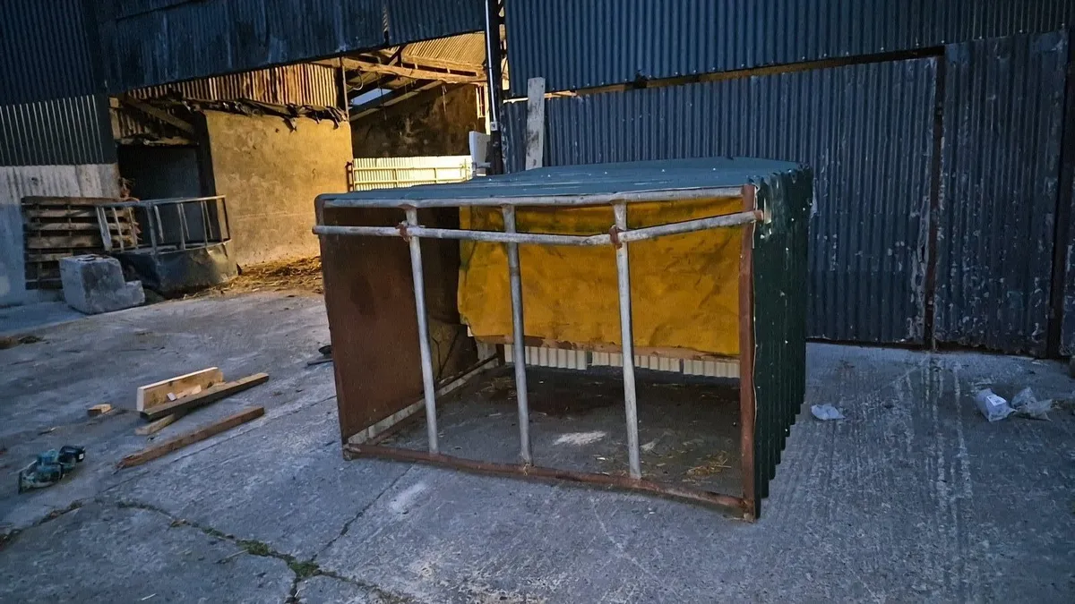 Calf creep feeder - Image 2