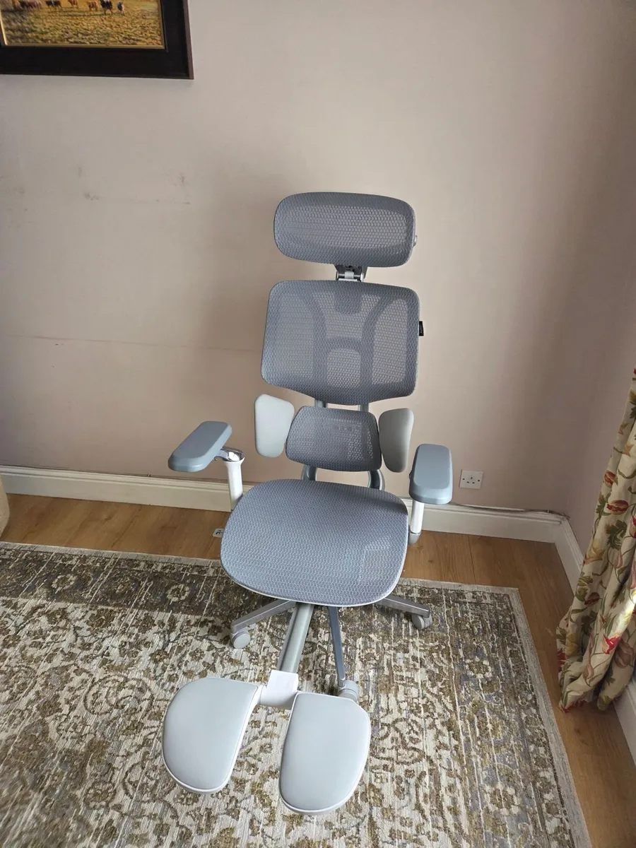 Hbada Mesh Office Chair E3 2026 Edition - Image 2