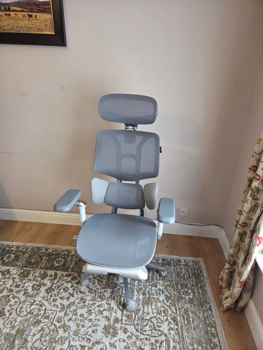 Hbada Mesh Office Chair E3 2026 Edition - Image 1