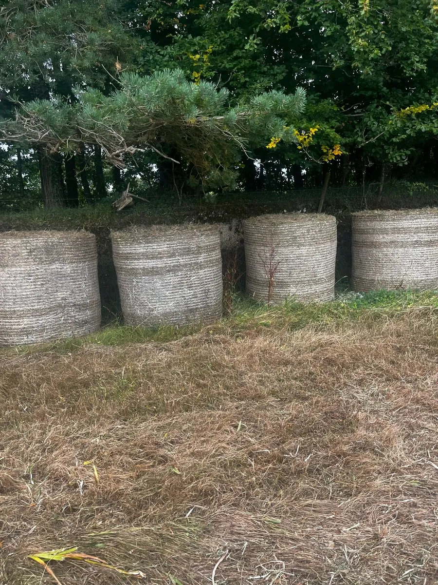 Round bales - Image 1