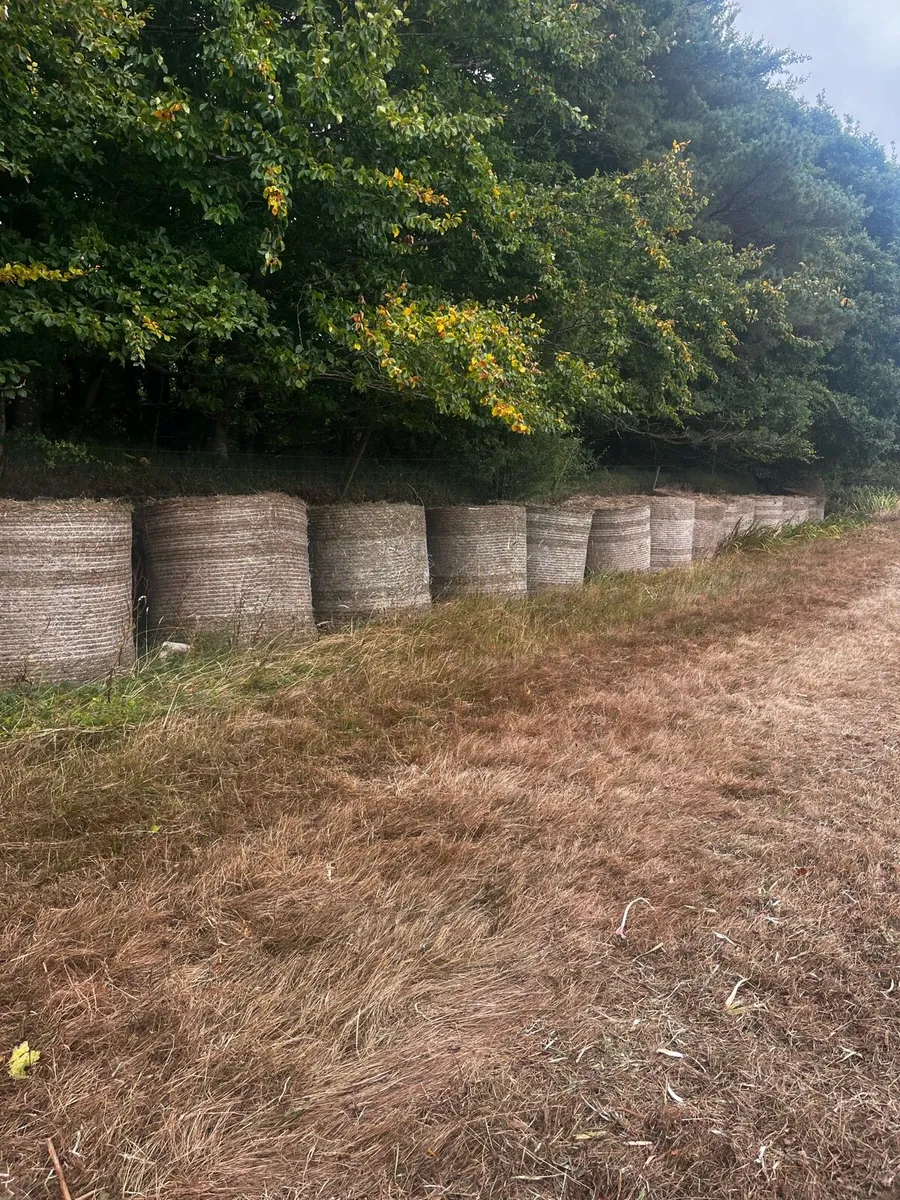 Round bales - Image 2