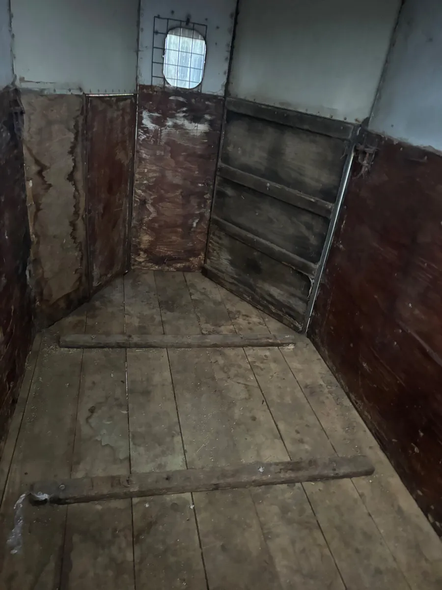 rice horsebox for sale - Image 3
