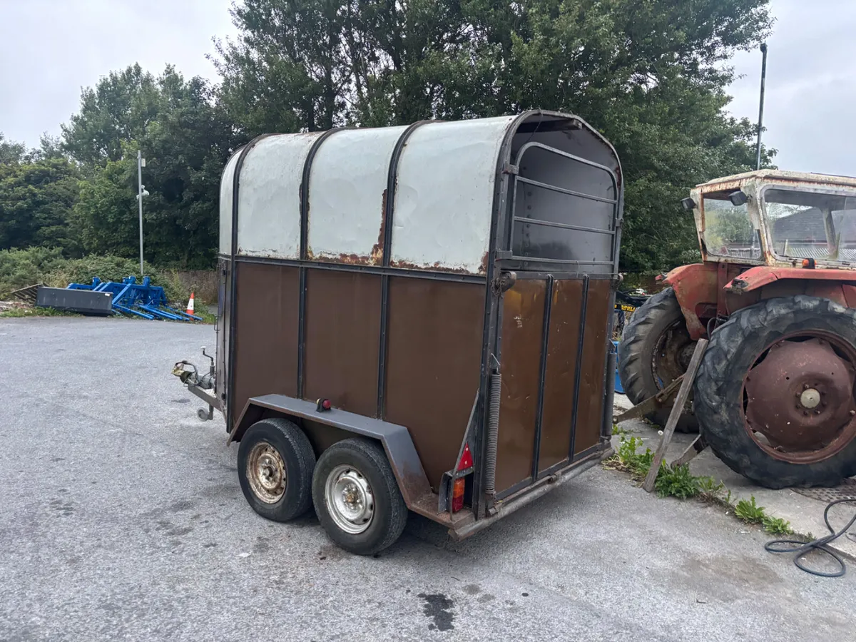 rice horsebox for sale - Image 4