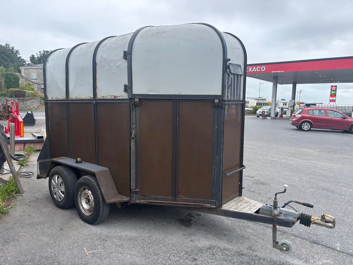 rice horsebox for sale - Image 2
