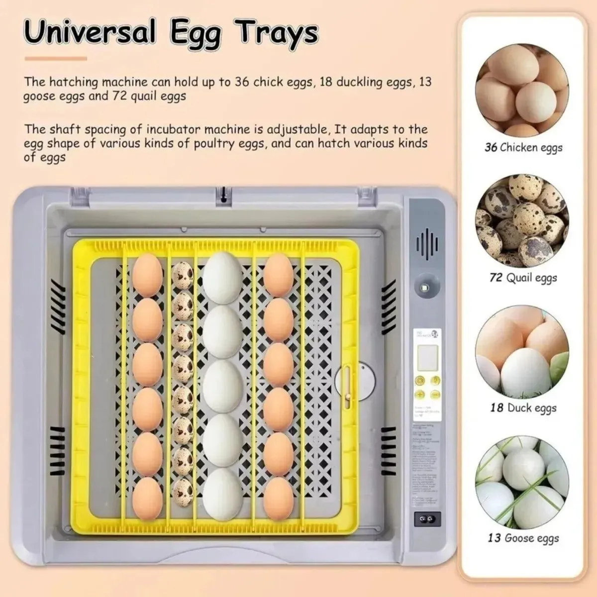 Egg Incubator 36 Egg Automatic Turner - Image 4