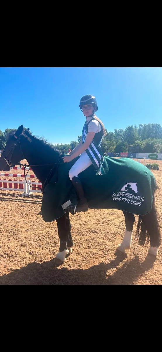138 SJI pony - Image 1