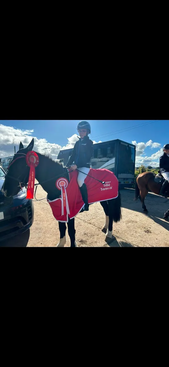138 SJI pony - Image 2