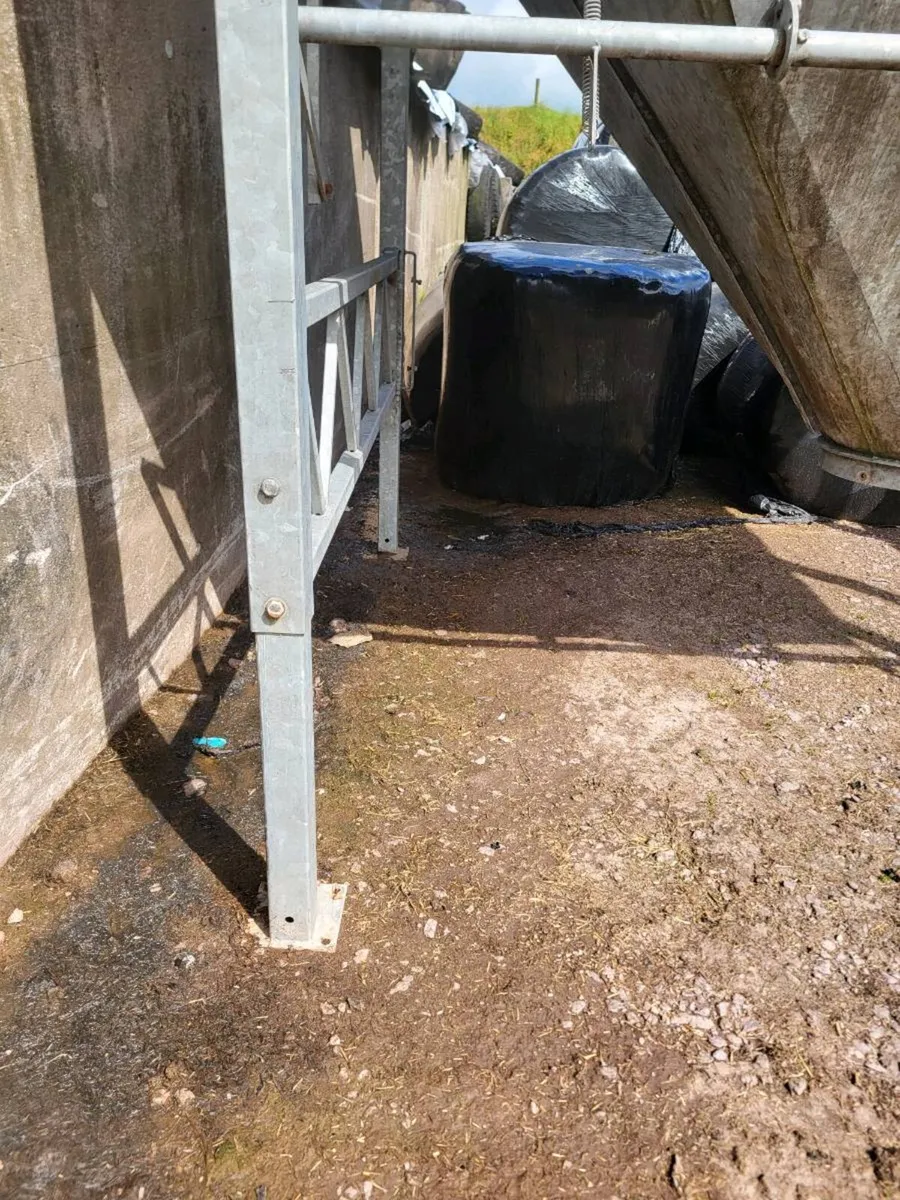 Condon Meal bin - Image 4