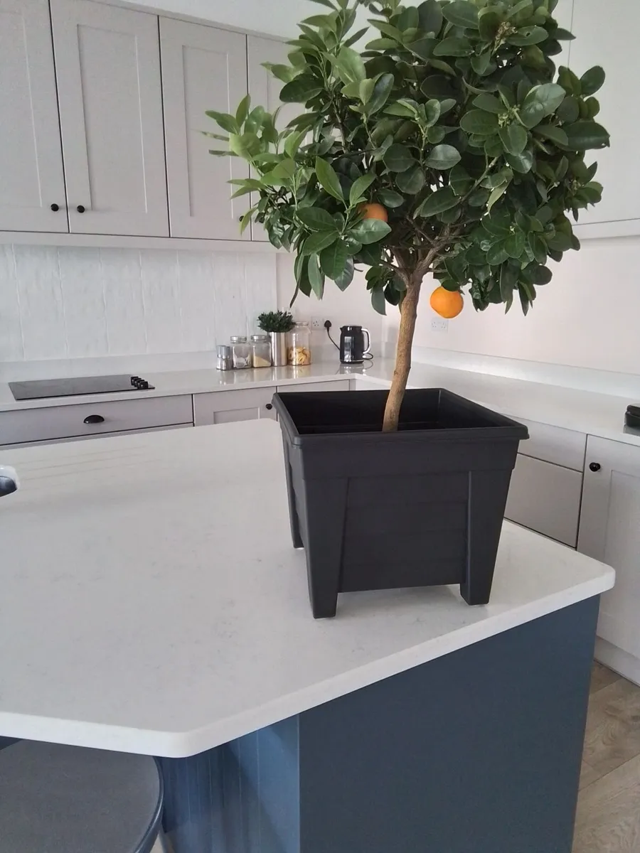 3ft orange planter