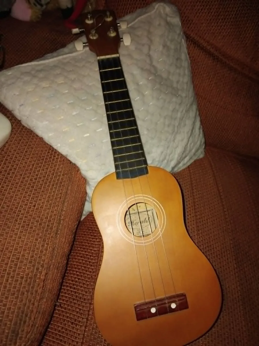 Ukulele Herald - Image 1