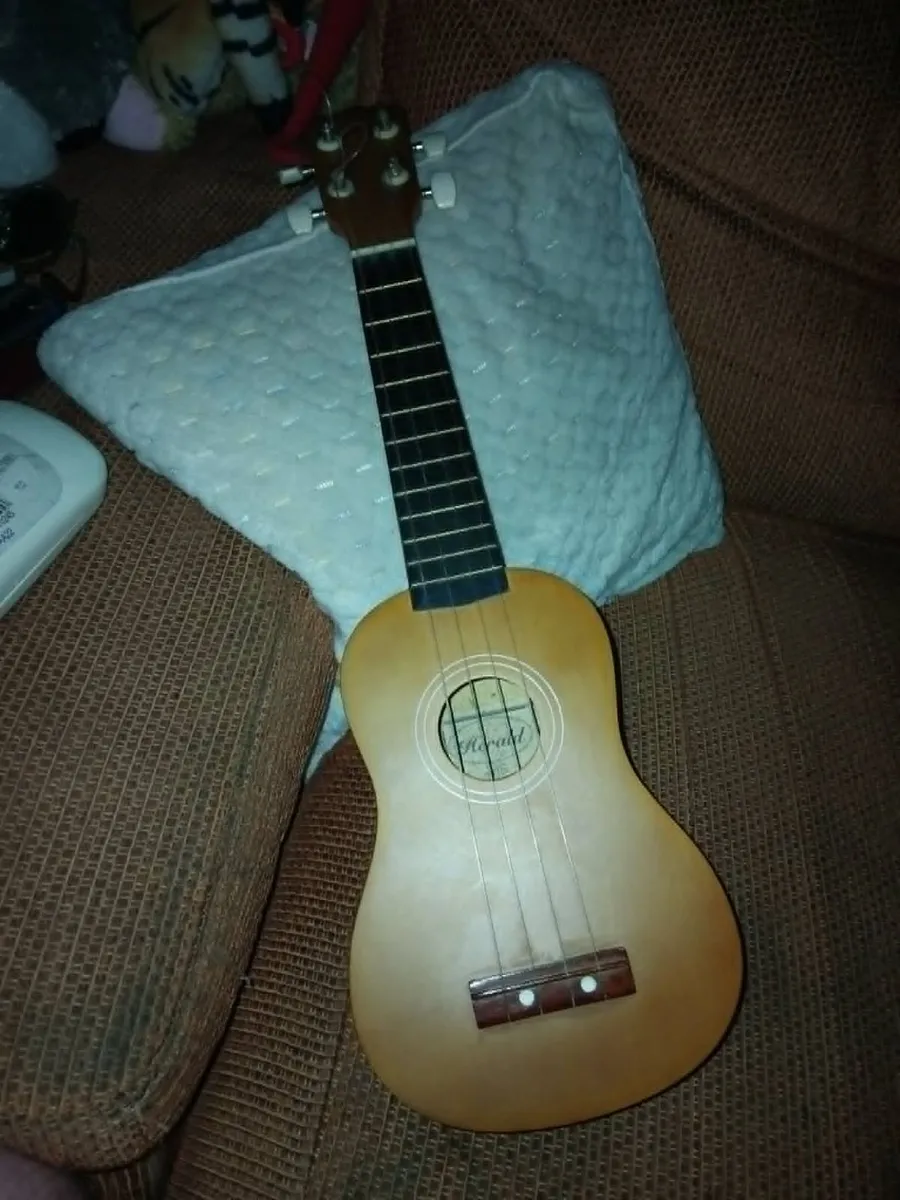 Ukulele Herald - Image 2